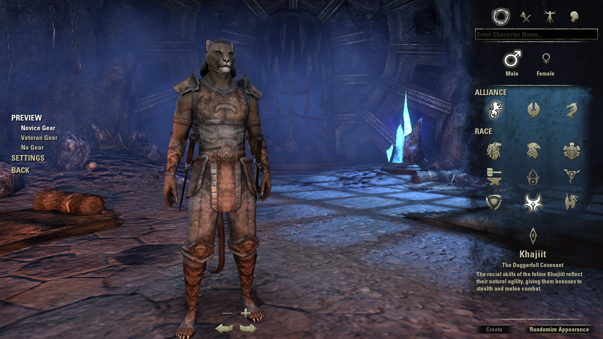 This is a random Khajiit decked out in Nightblade novice gear. I would ...